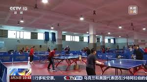 2026年国际足联世界杯 5mm人造草坪